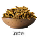 酒黄连